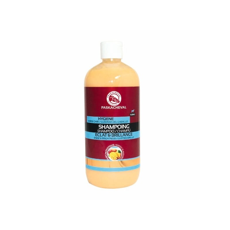 Shampoing pour cheval