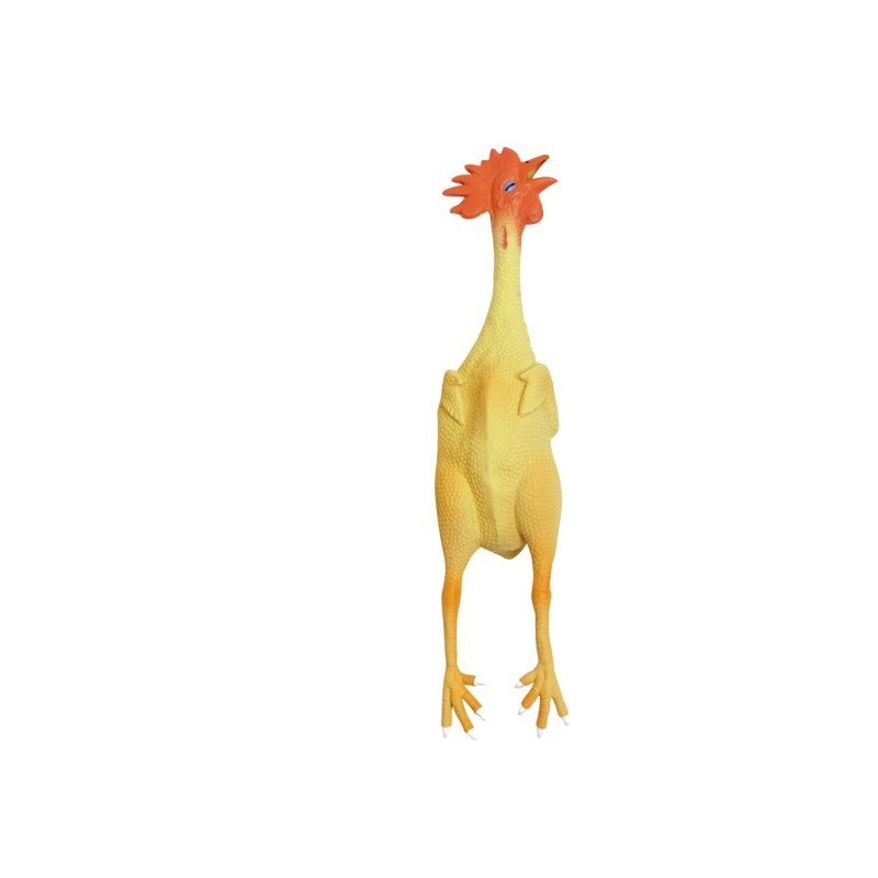 Poule