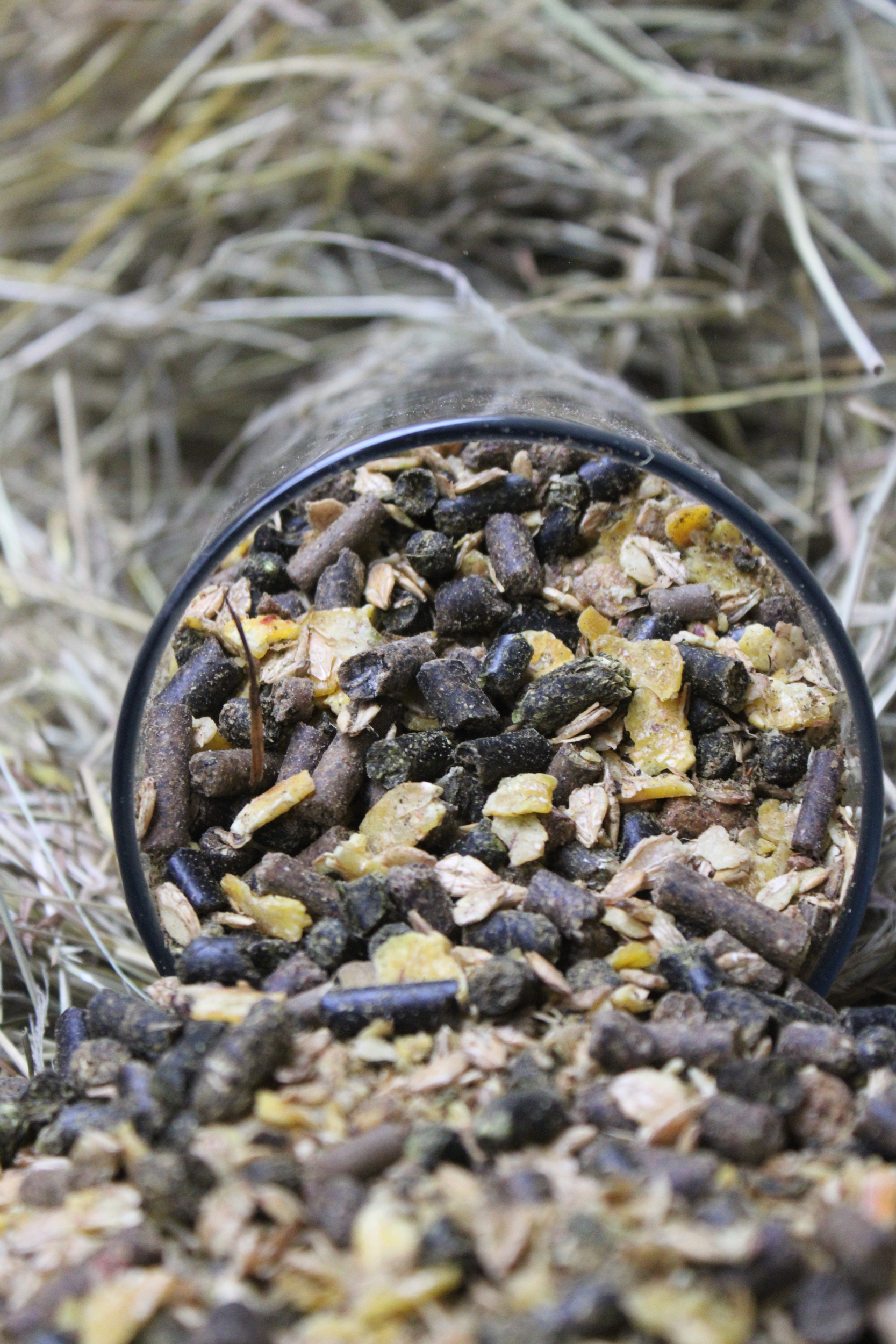Alimentation pour chevaux Hippocible